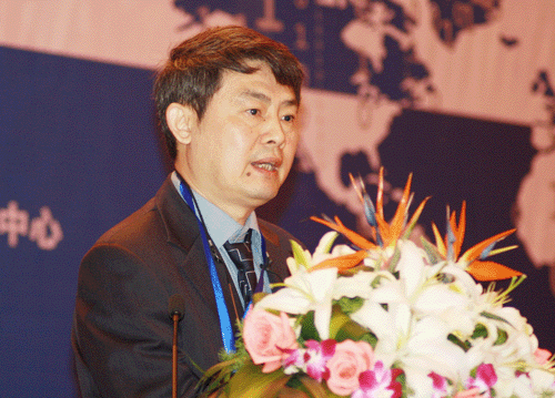 汪向东：把握国际新动向，推进政府网站国际化