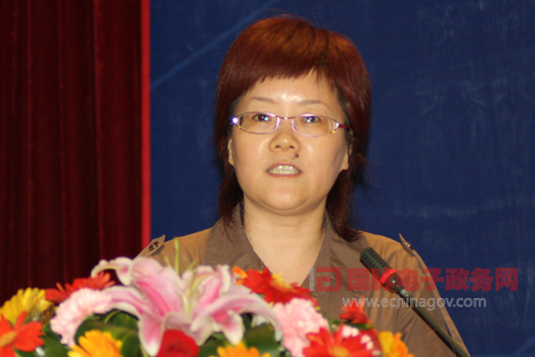 省级政府网站外文版建设总体情况排名表