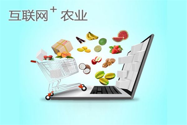 农村电商品牌助力乡村振兴亟待综合施策