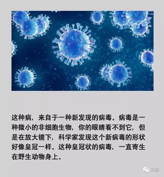 【宝鸡seo】写给孩子们的“冠状病毒”绘本，用它解释正在发生..