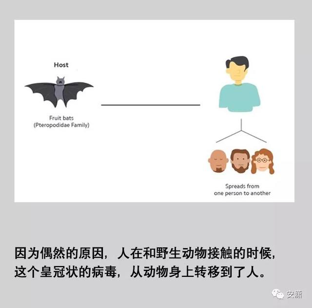 宝鸡网站公司哪家好